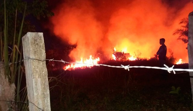 Incendio forestal. Archivo