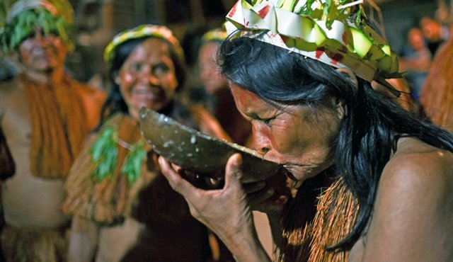 Los indios amazónicos usan el mambeo de coca para gobernar y comunicarse con el “padre creador”. AFP