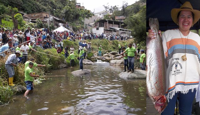 En el río la plata se congregaron decenas de personas a observar como los pescadores con cañas, con la mano y atarrayas, capturaban truchas. Las truchas que se pescaron fueron el trofeo para los participantes en el festival. Roberto Ospino