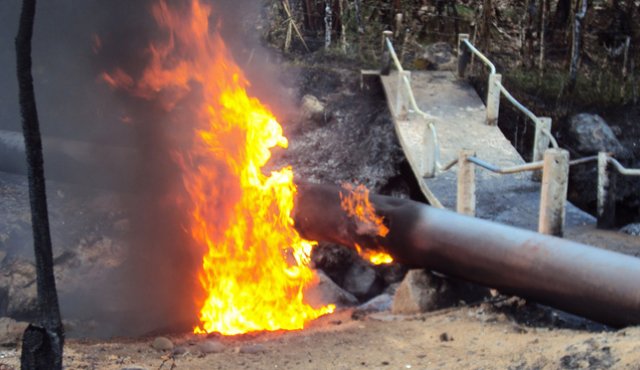 La guerrilla del Eln se ha caracterizado, entre otras cosas, por sus continuos ataques a la infraestructura petrolera del país. Solo en los últimos ocho años, la Fiscalía ha documentado 136 atentados de esta guerrilla al oleoducto. Colprensa