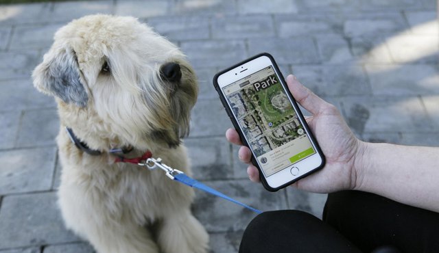 En Estados Unidos cada vez son más los amos de las mascotas que usan la tecnología para sus perros y gatos. AP