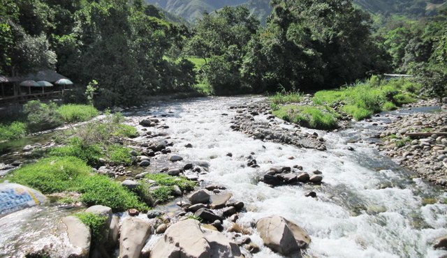 El trabajo en equipo facilitará el cumplimiento de las metas y programas para proteger la biodiversidad regional. Archivo