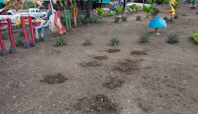 En la fotografía se puede observar el estado en el que quedan los lugares donde se han robado las plantas. Juan Pablo Cohen