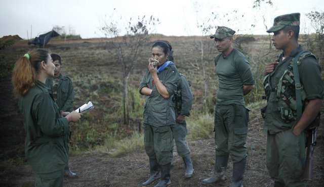 Una vez comience el proceso de movilización a las zonas veredales, los guerrilleros no podrán ser capturados, salvo que incurran en algún delito. Archivo