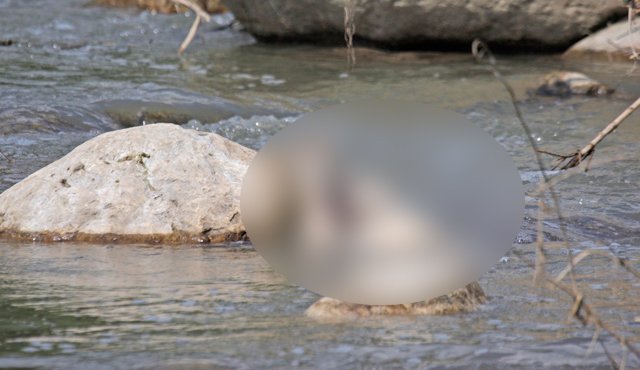Se trata de un hombre de aproximadamente 1.70 metros de estatura. Llevaría 15 días entre el agua. Mario Caicedo