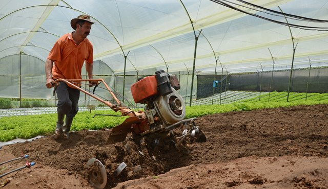 Tres proyectos para impulsar la producción agrícola de Norte de Santander están a la espera de ser aprobados, la inversión asciende a más de $2.000 millones. Archivo La Opinión
