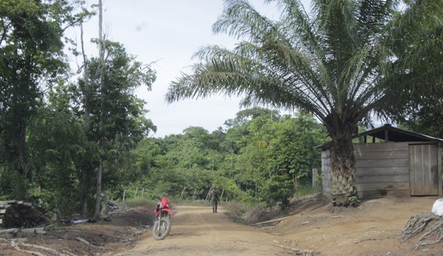 Vereda Caño Indio Archivo
