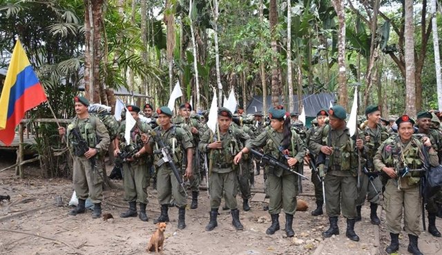 Por lo menos 100 guerrilleros ya se encuentran en la zona veredal número 12 de la vereda La Carmelita, zona rural de Puerto Asís Putumayo Colprensa