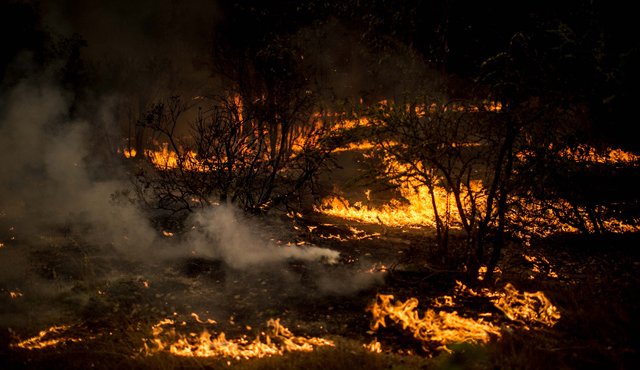 Este es el mayor desastre natural en la historia de ese país. AFP