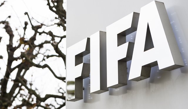 La comisión de apelación de la Fifa decidió "rechazar los recursos de la Federación Boliviana y confirmar integralmente las decisiones de la comisión de disciplina de la Fifa". AP
