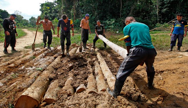 En vista de las difíciles condiciones para el acceso a Caño Indio, los integrantes de las Farc comenzaron a ayudar en la adecuación de los pasos más críticos, para que pueda entrar la maquinaria. AFP