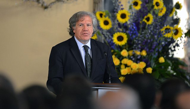 Secretario general de la Organización de Estados Americanos (OEA), Luis Almagro. AFP