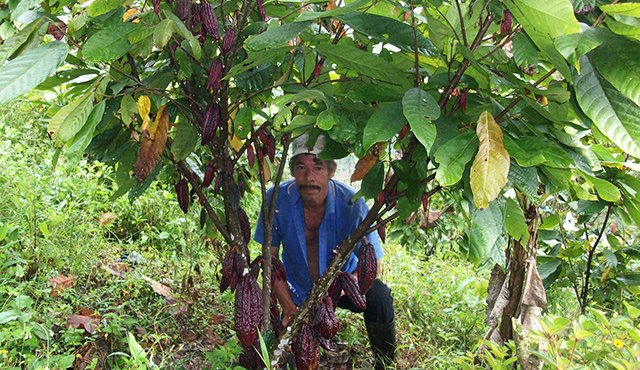 La Secretaría de Desarrollo Económico de Norte de Santander lidera el proceso en la Provincia de Ocaña. Javier Sarabia