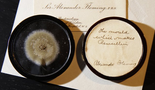 Cápsula con el moho original del que Alexander Fleming hizo por prmera vez penicilina. AP