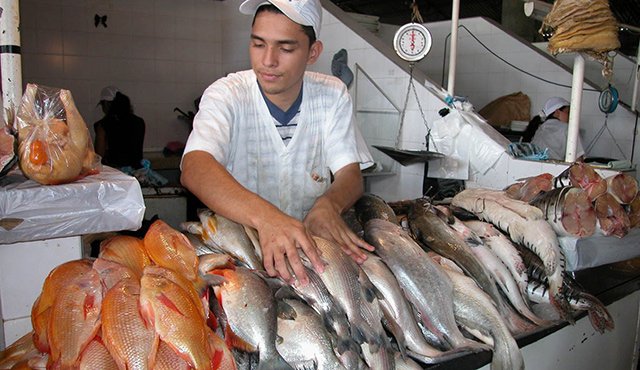 Según datos del Ministerio de Agricultura, al año se producen 8.000 toneladas de pescado incluyendo el camarón. Archivo