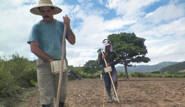 Desde la asociación de Municipios se están liderando proyectos para beneficiar a campesinos de la Provincia de Ocaña, sur de Cesar y el Catatumbo. Javier Sarabia