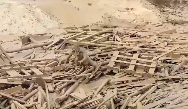 Milagrosamente, Evangelina se salvó de morir en la avalancha provocada por las fuertes lluvias que afectan a Perú y que han dejado numerosos muertos y gran destrucción.  AFP