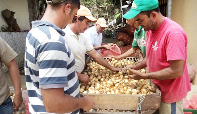 La actividad busca facilitar la salida oferta de productos y alianzas estratégicas para la paz. Archivo