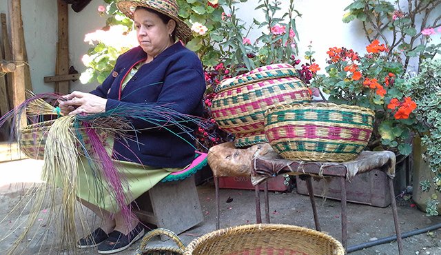La única tejedora de tamas o canastos en Silos es Concepción Delgado. Ella afirma que se requiere destreza para hacer los productos con fibras naturales traídas del páramo. Roberto Ospino