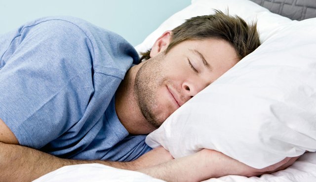 En Francia buscan hombres que quieran estar durante 2 meses en una cama. Tomada de internet
