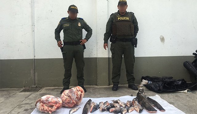 Por ahora se incrementaron los controles sobre las trochas para evitar el contrabando. Cortesía