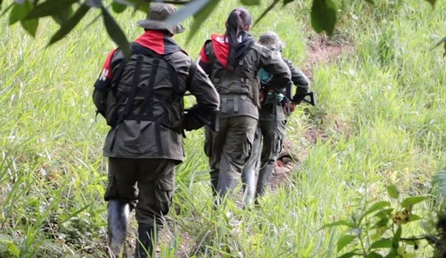 Eln y las Farc insistieron que exista un claro compromiso del Estado y del Gobierno. Colprensa