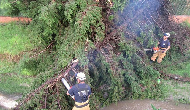 Unidades de bomberos voluntarios del batallón García Rovira y personal de la Empresa de Servicios públicos de Pamplona recorrieron dos kilómetros para efectuar la jornada de limpieza. Cortesía