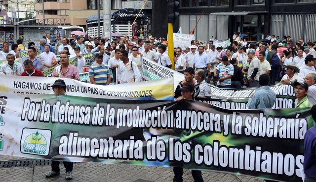 Los arroceros anunciaron un cese de actividades indefinido a partir del próximo 6 de junio si el Gobierno no cumple con el incentivo al almacenamiento garantizado para el segundo semestre. Colprensa