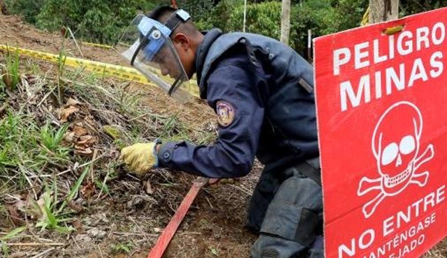 Entre 1991 y abril del presente año, 11.485 personas fueron víctimas de minas antipersonal. Colprensa