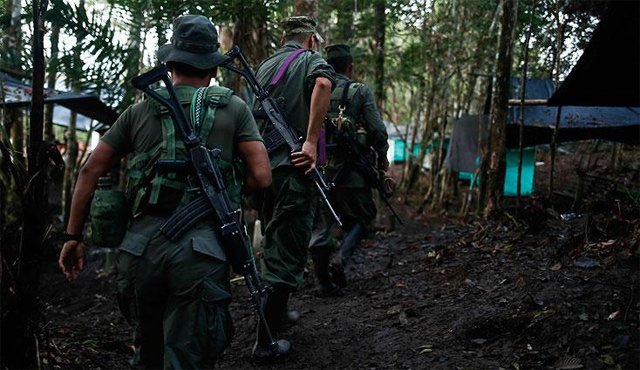 Unos 7.000 miembros de las Farc están concentrados en 26 puntos del país para el proceso de desarme. Archivo