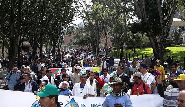 Los arroceros son provenientes de Meta, Huila, Tolima, Sucre, Arauca, Caribe, Casanare y Norte de Santander. Colprensa