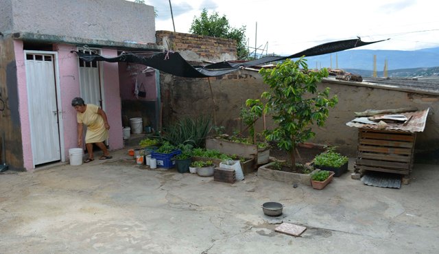 Aprovechando cada espacio de su solar, Marta Téllez ha convertido su casa en una minigranja. Mario Caicedo