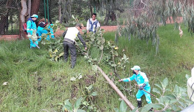 La jornada de limpieza se cumplió desde Zulia hasta el colegio Normal Superior. En el recorrido se retiraron residuos sólidos y material vegetal. Cortesía