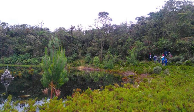 Luego de una visita técnica se determinó que se requiere de un estudio para establecer las afectaciones de la Laguna del Seminarista, que tan solo tiene 30 centímetros de profundidad. Cortesía