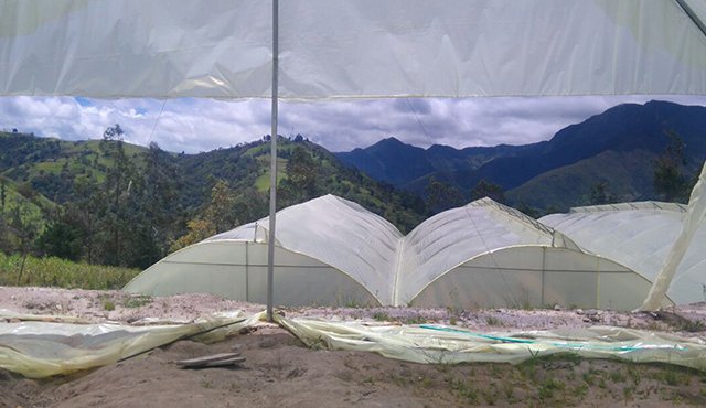 Los pocos invernaderos que se empezaron a construir, fueron entregados a medias y no cuentan con los parámetros técnicos para cultivar. Cortesía