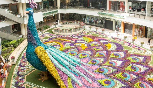 Un gigante Pavo Real exhibirá su plumaje, urdido en flores, hasta 21 de agosto. Especiales