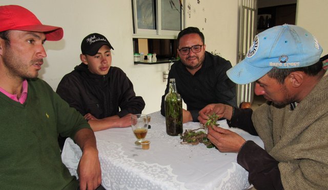 A las tiendas del corregimiento Presidente (Chitagá), llegan los turistas a consumir las bebidas preparadas con hierbas del páramo, que solo brotan de la tierra a 4.000 metros de altura. Roberto Ospino