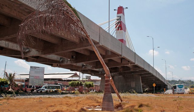 Las plantas que se sembraron en las zonas verdes del recién inaugurado intercambiador de Atalaya se están cayendo a pedazos por la falta de mantenimiento de la Alcaldía. Mario Caicedo