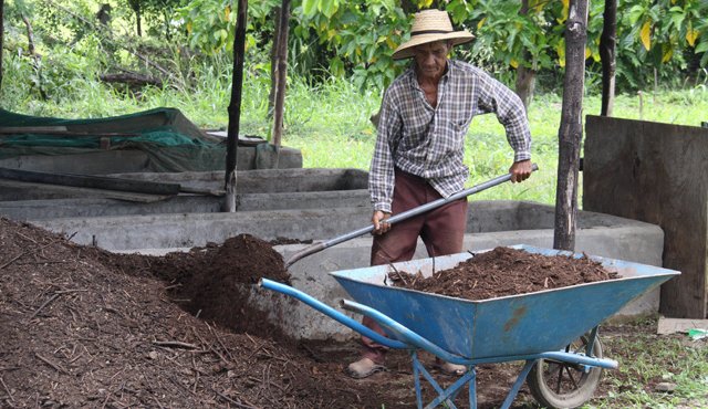 El 83% de las Unidades de Producción Agropecuaria (UPA) registra problemas relacionados con el desarrollo de los cultivos por dificultades de tipo laboral. Archivo