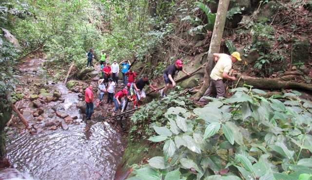 Los caminantes son guiados por senderos en donde se pueden conocer especies de fauna, flora y siete caídas de agua. Roberto Ospino