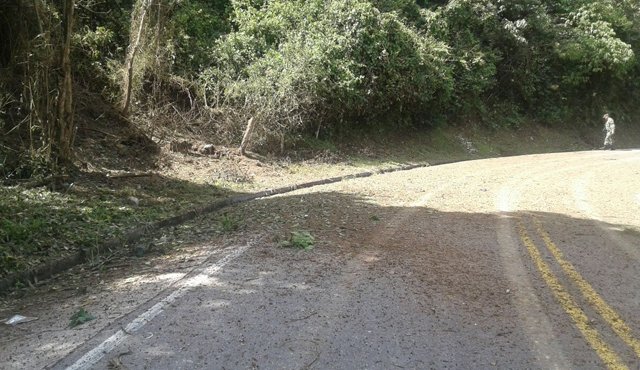 El tráfico vehicular estuvo paralizado durante varias horas en esa arteria vial. Cortesía