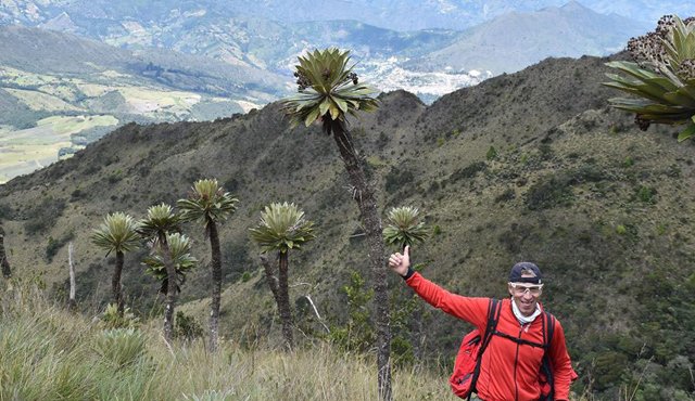 El docente Román Flórez recorrió el sector de Tierra Negra y registró especies de frailejones y vegetación nativa del páramo. Cortesía
