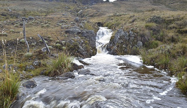 La regional Andes Nororientales de Parques Nacionales, reúne a ocho de las áreas con figura de protección en Colombia. Edinsson Figueroa