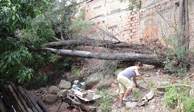 En el barrio circunvalación, dos árboles cayeron y afectaron algunas viviendas del sector. César Obando