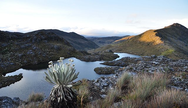El agua del Páramo abastece a más de 2.200.000 habitantes. Cortesía