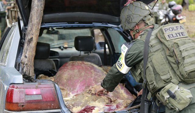 2.000 kilos de carne de contrabando eran transportados en varios vehículos, por la trocha La Marina, de Villa del Rosario. La carga fue incautada. Cortesía
