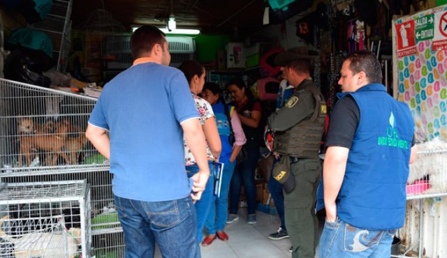 Durante los controles las entidades ambientales encontraron establecimientos en condiciones inapropiadas de higiene. Cortesía