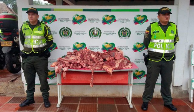 El hallazgo de esta carne en mal estado se dio en el kilómetro 9+200, sitio conocido como Guayabales. Cortesía