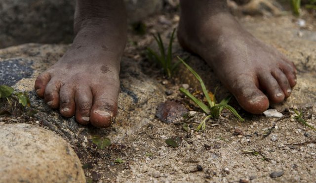 Nariño, Cauca, Valle del Cauca y Chocó son los municipios en los que se centrarán las investigaciones por racismo. Colprensa
