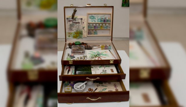 La maleta del chamán, obra del artista payanés radicado en Cúcuta, Óscar Iván Roque Mosquera, hace parte del V Salón Bat, abierto actualmente en Bucaramanga. Archivo La Opinión